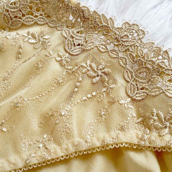 Embroidered floral lace trim bikini panty in champagne - Picture 2 of 3